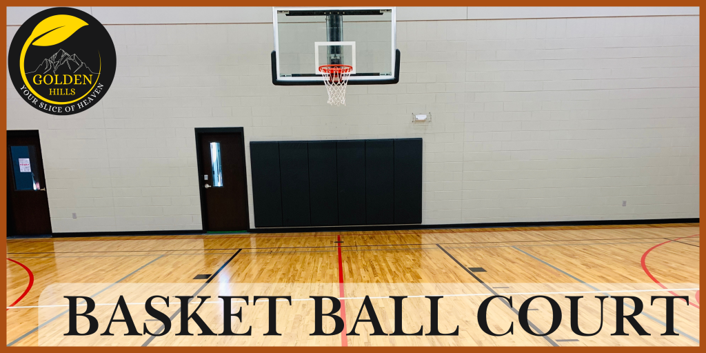 BASKETBALL COURT